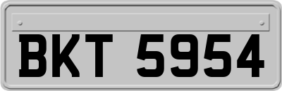 BKT5954