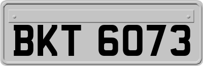 BKT6073