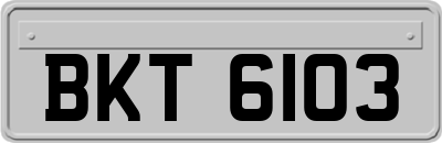 BKT6103
