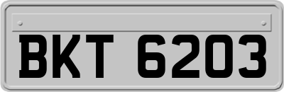 BKT6203