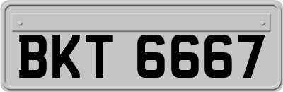 BKT6667