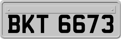 BKT6673
