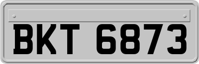 BKT6873