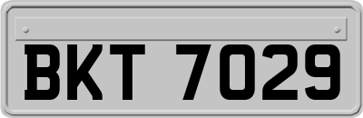BKT7029