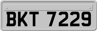 BKT7229
