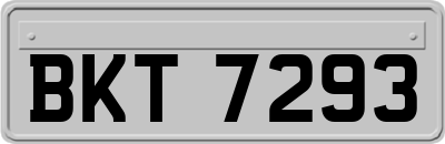 BKT7293