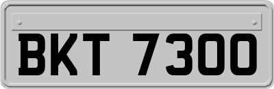 BKT7300