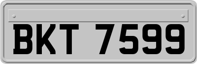 BKT7599