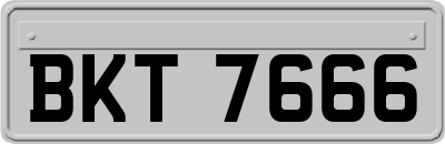 BKT7666