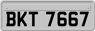 BKT7667