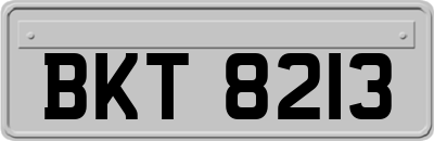 BKT8213