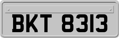 BKT8313