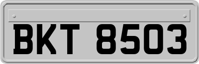 BKT8503