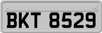 BKT8529