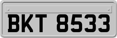 BKT8533