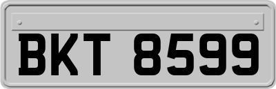 BKT8599