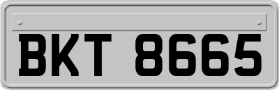 BKT8665