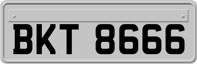BKT8666