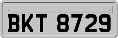 BKT8729