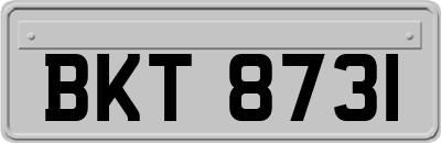 BKT8731