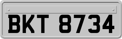 BKT8734