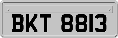 BKT8813