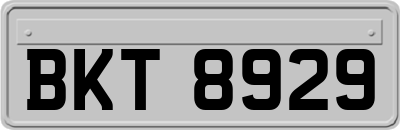 BKT8929