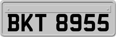BKT8955