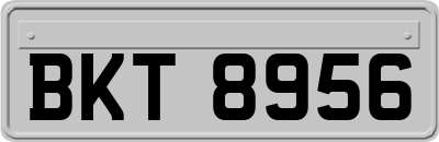 BKT8956