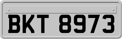 BKT8973