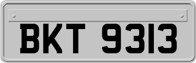 BKT9313