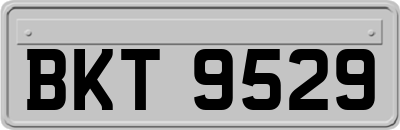 BKT9529