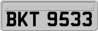 BKT9533