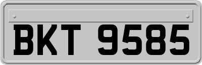 BKT9585