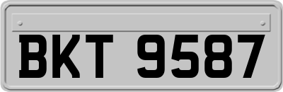 BKT9587