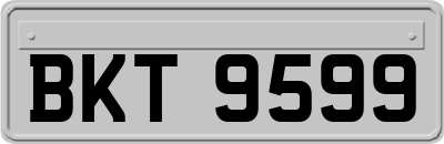 BKT9599