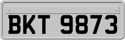 BKT9873