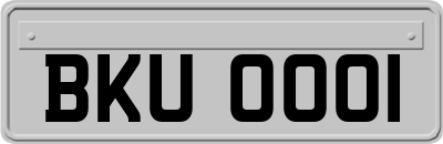 BKU0001