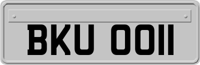 BKU0011