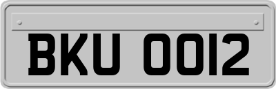 BKU0012