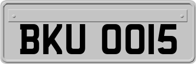 BKU0015