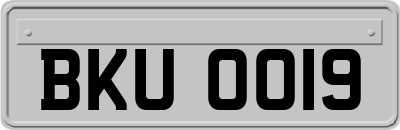 BKU0019