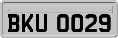 BKU0029