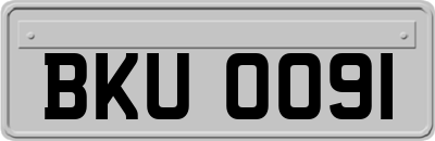 BKU0091