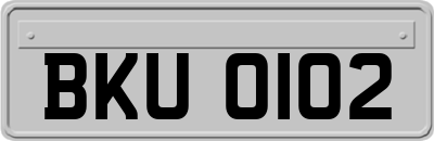 BKU0102