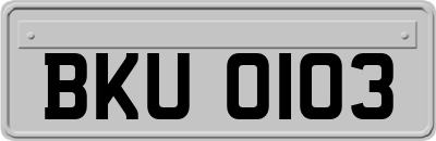 BKU0103