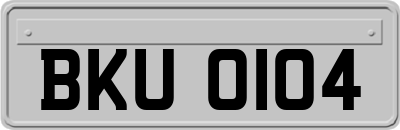 BKU0104