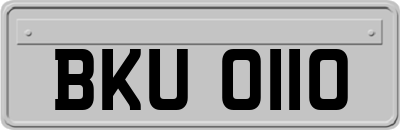 BKU0110
