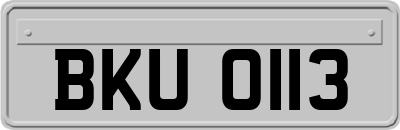 BKU0113
