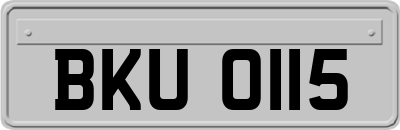 BKU0115